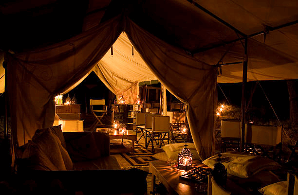 Into the Wild: Best New Safari Camps in Africa